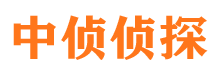 六安市私家侦探